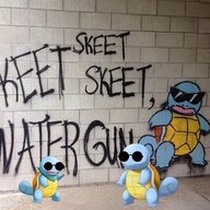 Скиловый паря